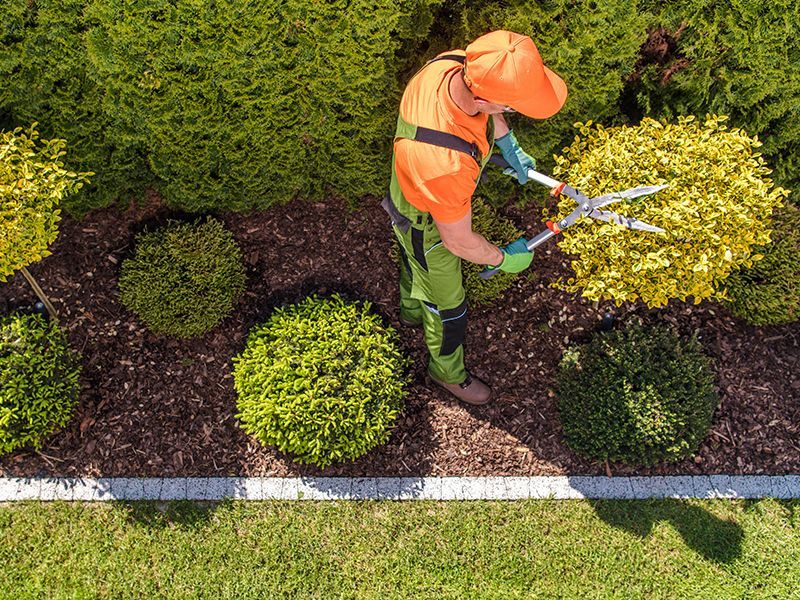 Gartenpflege und Gartenplanung vom Gärtner in Liestal Basel